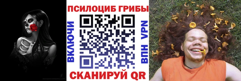 Купить где  Жердевка  Галлюциногенные грибы ЛСД 
